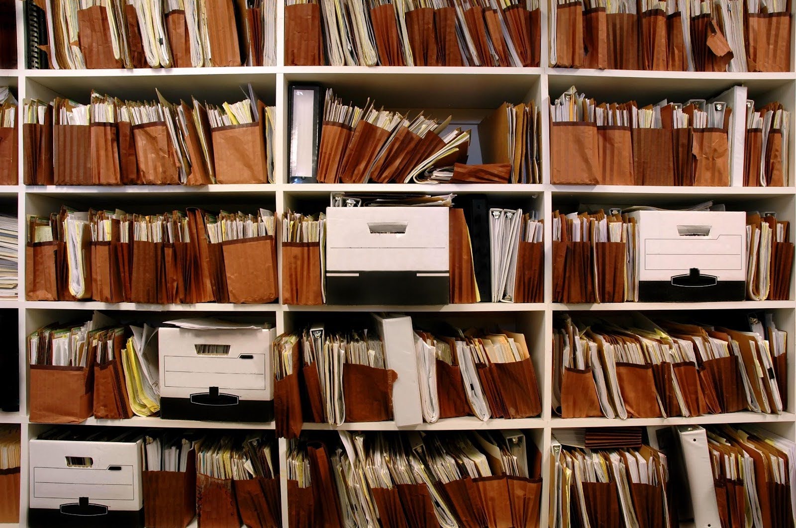 document storage shelves